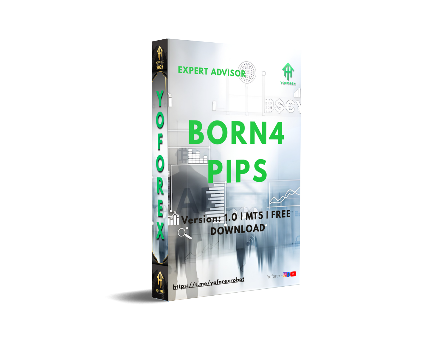 BORN4PIPS EA V1.0 MT5