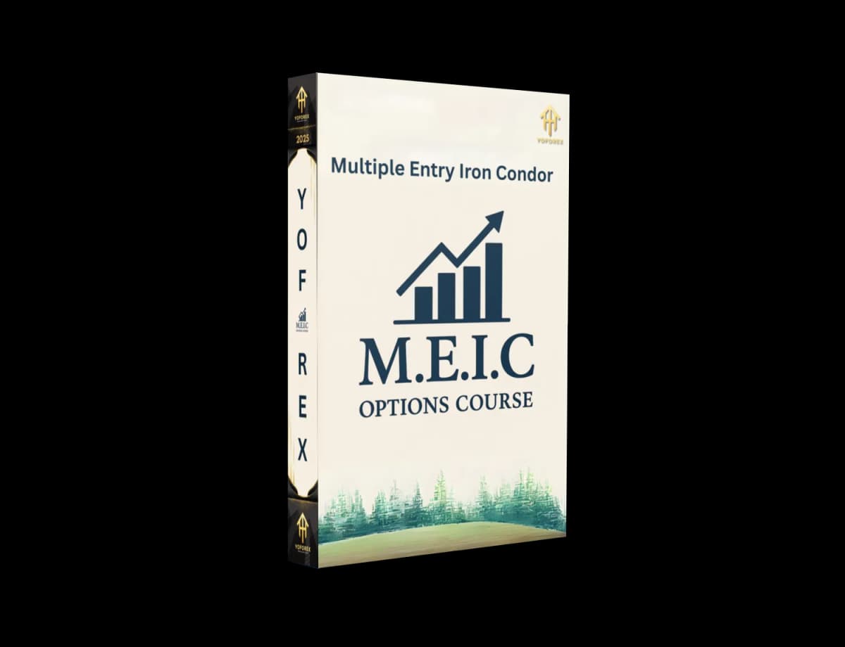 M.E.I.C Options Course