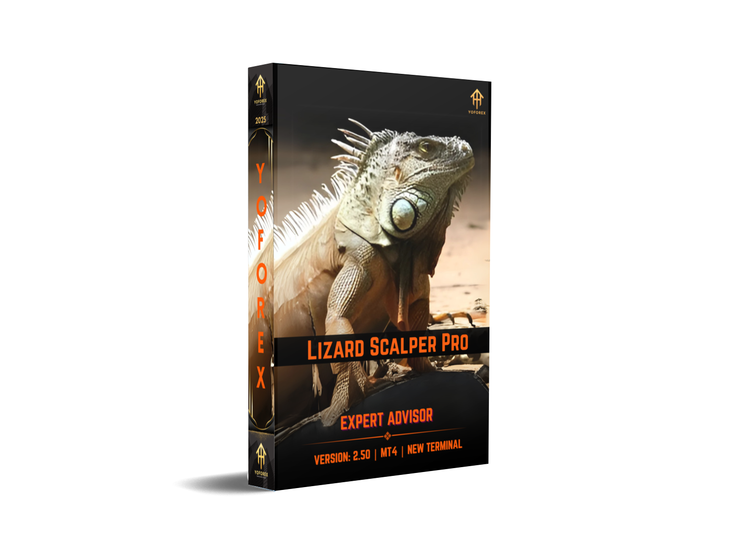 Lizard Scalper Pro EA V2.50: The Definitive Guide to Automated Forex Scalping Success - FREE DOWNLOAD