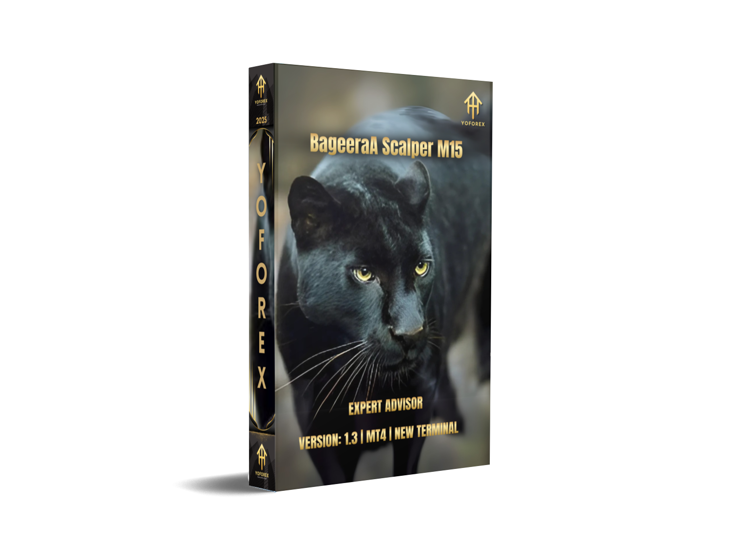 BageeraA Scalper M15 EA V1.3 MT4 Elite EUR/USD Scalper – FREE DOWNLOAD