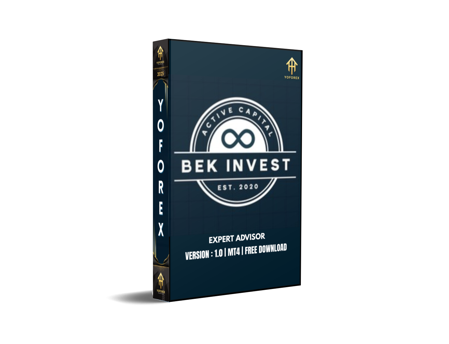 Bek Invest Gold EA V1.0 MT4