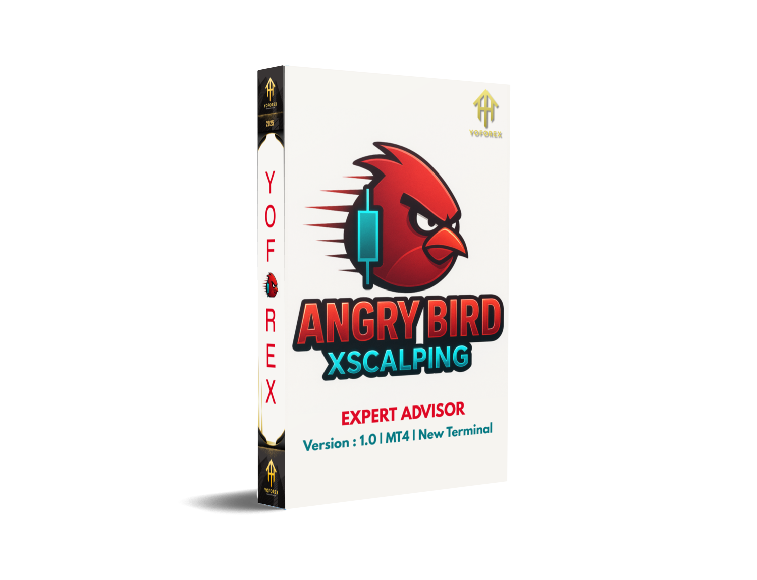 Angry Bird Xscalpingn EA V1.0 MT4