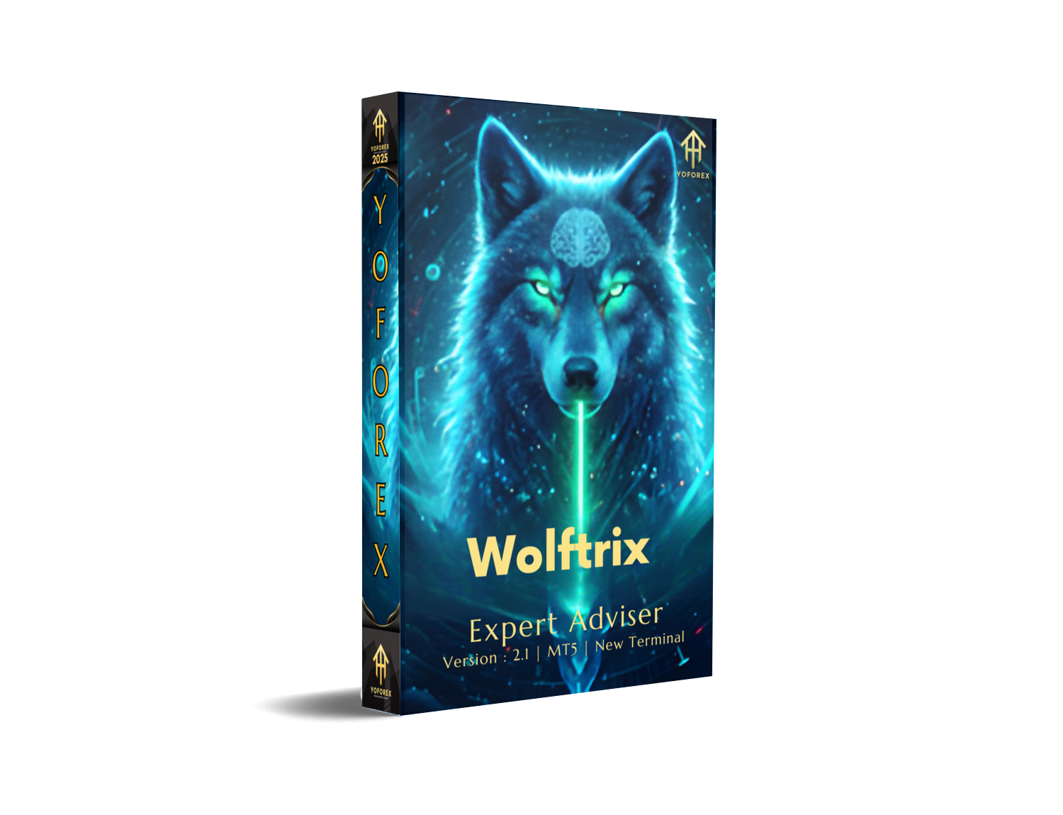 Wolftrix EA V2.1 MT5 – Full Review & Download Guide