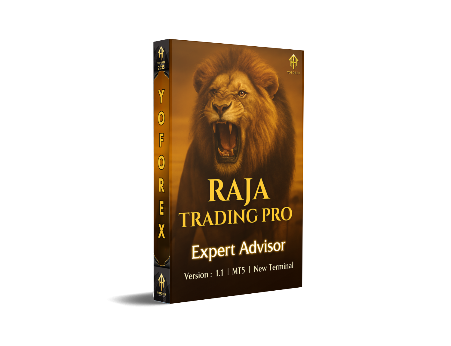 Raja Trading PRO EA V1.1 MT5