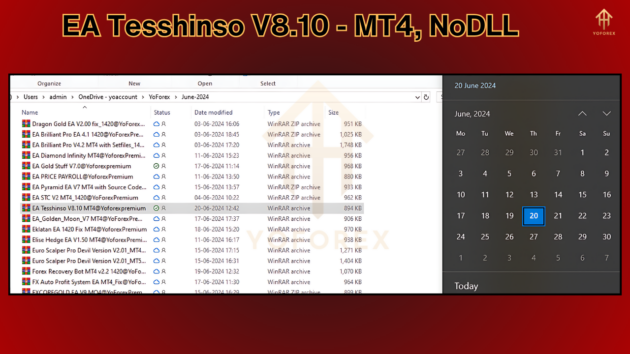 ea tesshinso v8.10