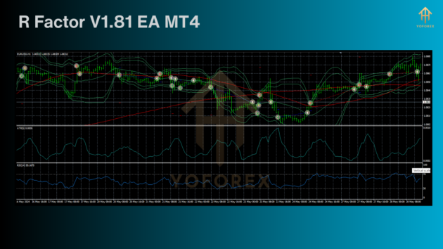 r factor v1.81 ea