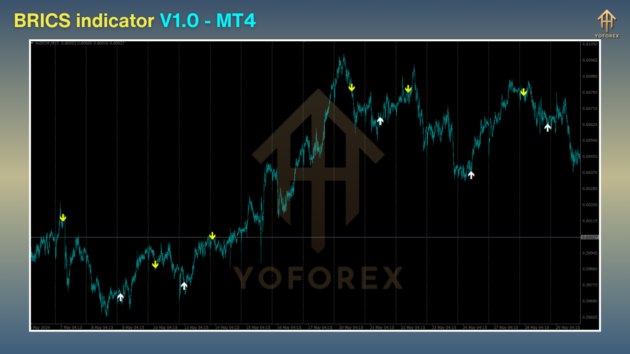 brics indicator v1.0