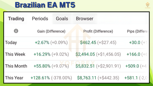 brazilian ea