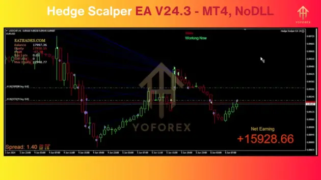 hedge scalper ea v24.3