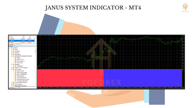 janus system indicator mt4