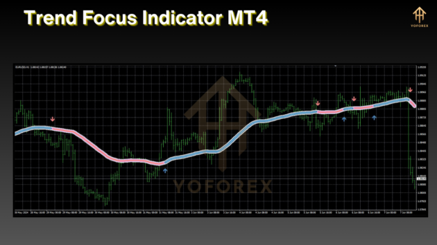 trend focus indicator