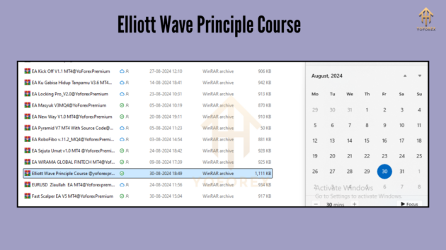 elliott wave principle course