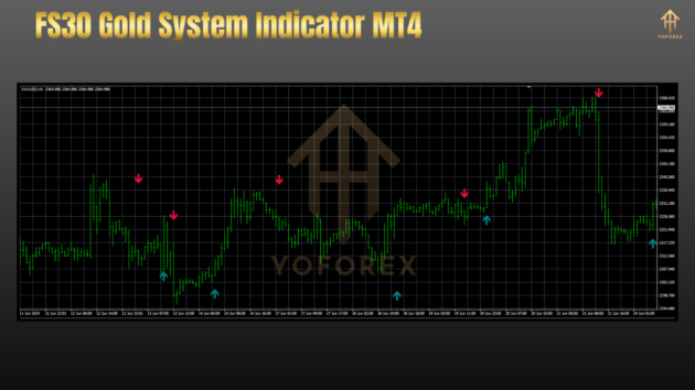 fs30 gold system indicator