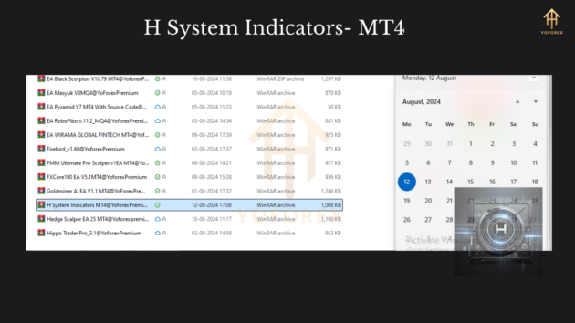 h system indicators