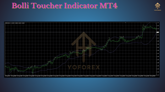 bolli toucher indicator