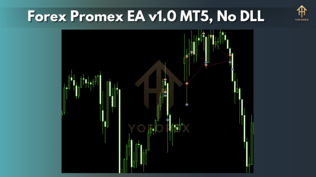 forex promex ea v1.0 mt5