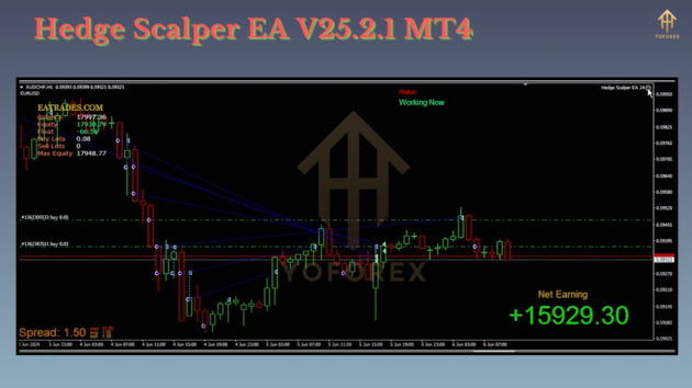 hedge scalper ea v25.2.1