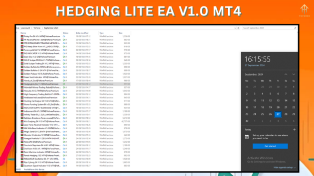 hedging lite ea v1.0