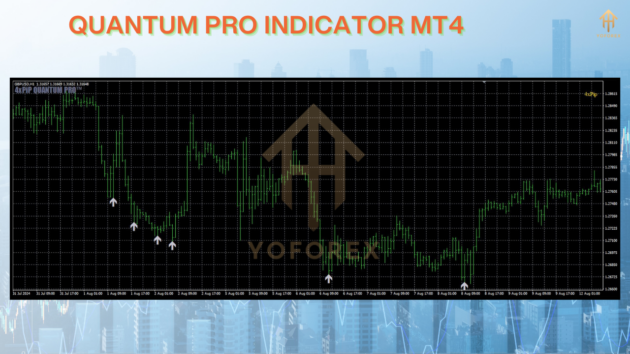 quantum pro indicator