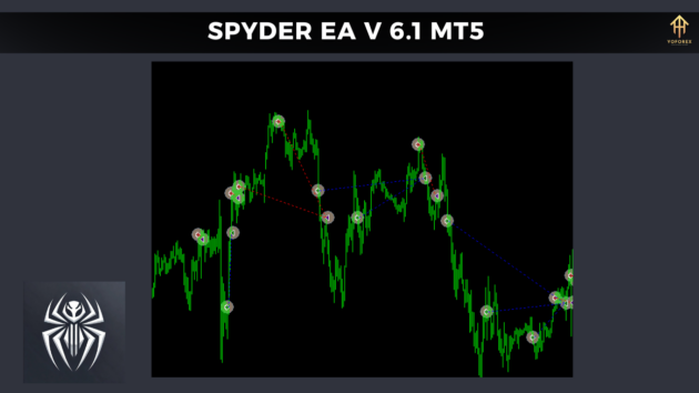 spyder ea v 6.1