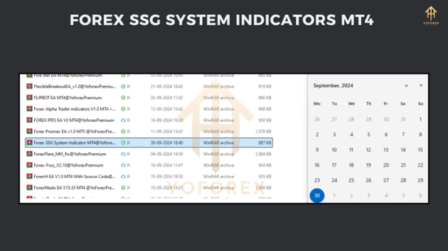 forex ssg system indicator