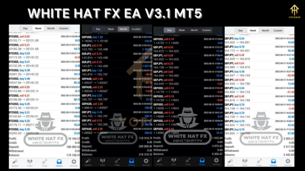 white hat fx ea v3.1