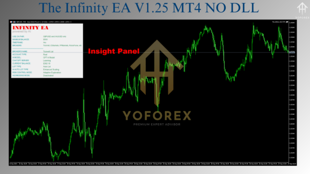 the infinity ea v1.25