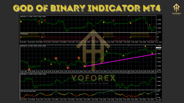 god of binary indicator