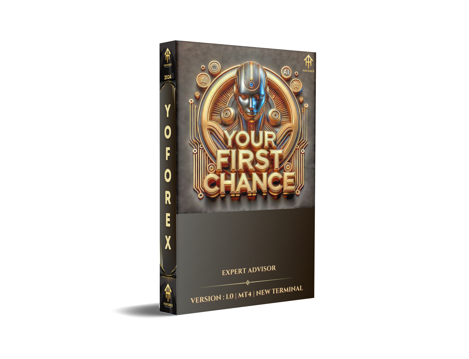 your first chance ea v1.0