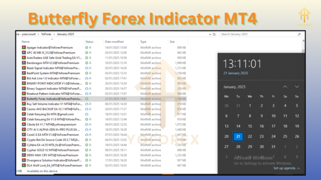 butterfly forex indicator