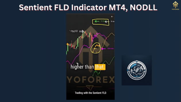 sentient fld indicator v1.0