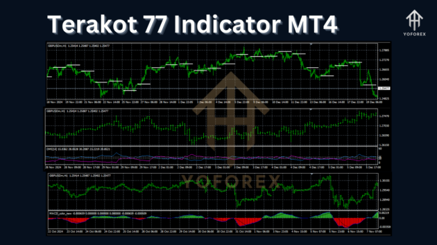 terakot 77 indicator