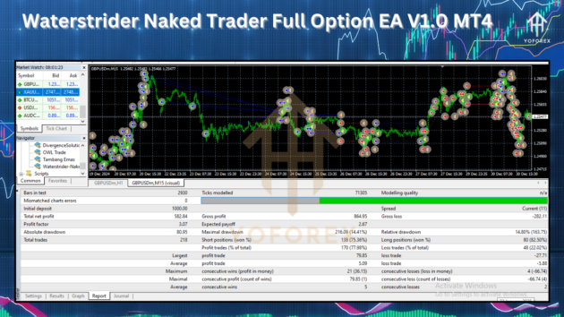 waterstrider naked trader full option ea v1.0